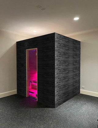 Horizon 6-Person Indoor Traditional Sauna