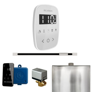 Mr. Steam ButlerFlex Steam Shower Control Package with TempoFlex Control and Linear Steamhead