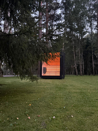 Jonas L 6-8 Person Traditional Insulated Sauna Cube