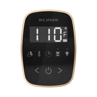 Mr. Steam TempoFlex Steam Shower Control and Steamhead