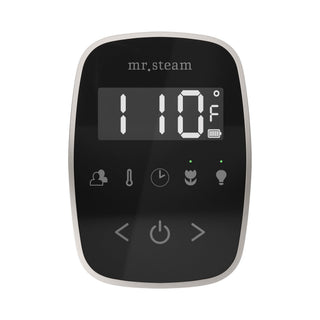Mr. Steam TempoFlex Steam Shower Control and Steamhead
