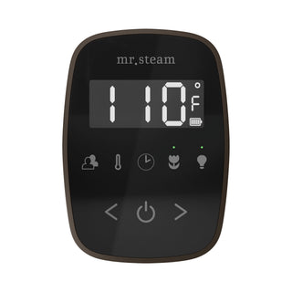 Mr. Steam TempoFlex Steam Shower Control and Steamhead