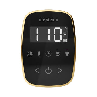 Mr. Steam TempoFlex Steam Shower Control and Steamhead