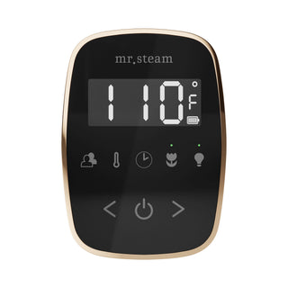 Mr. Steam TempoFlex Steam Shower Control and Steamhead