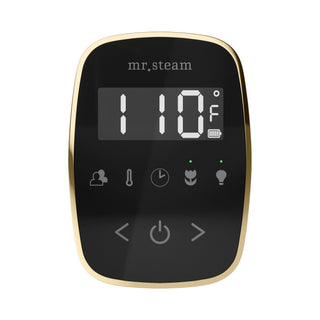Mr. Steam TempoFlex Steam Shower Control and Steamhead
