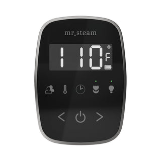 Mr. Steam TempoFlex Steam Shower Control and Steamhead