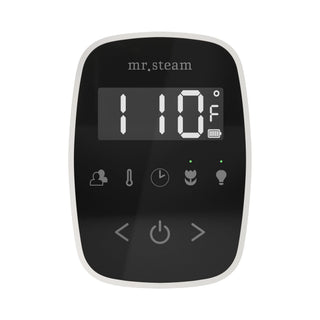 Mr. Steam TempoFlex Steam Shower Control and Steamhead