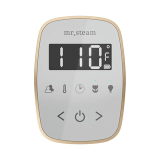 Mr. Steam TempoFlex Steam Shower Control and Steamhead
