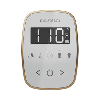 Mr. Steam TempoFlex Steam Shower Control and Steamhead
