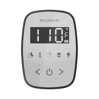 Mr. Steam TempoFlex Steam Shower Control and Steamhead
