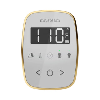 Mr. Steam TempoFlex Steam Shower Control and Steamhead