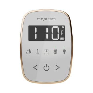 Mr. Steam TempoFlex Steam Shower Control and Steamhead