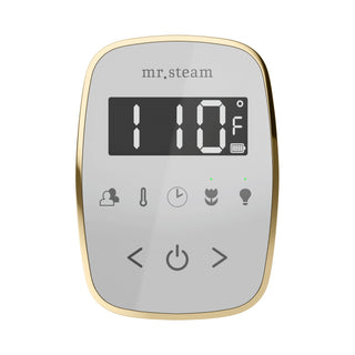 Mr. Steam TempoFlex Steam Shower Control and Steamhead