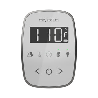 Mr. Steam TempoFlex Steam Shower Control and Steamhead