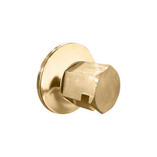 Thermasol TSS Traditional 3/4 in Style Steam Head
