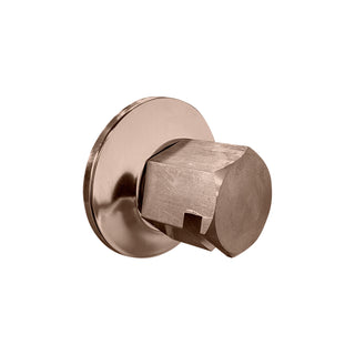 Thermasol TSS Traditional 3/4 in Style Steam Head